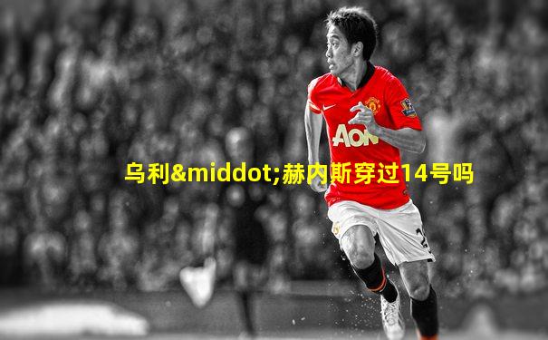 乌利·赫内斯穿过14号吗