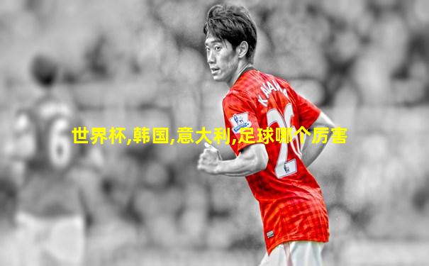 世界杯,韩国,意大利,足球哪个厉害