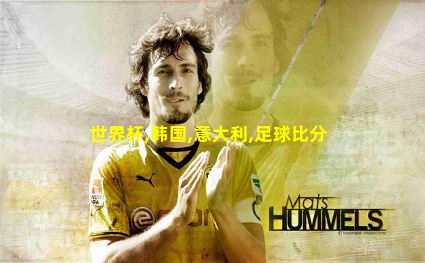 世界杯,韩国,意大利,足球比分